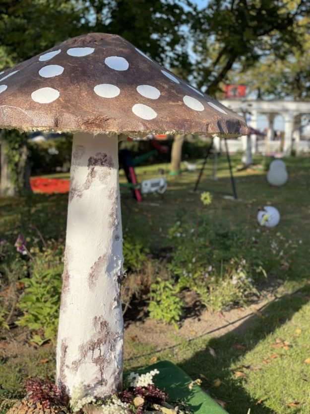 XXL Pilz Riesenpilz Pilz outdoor mieten mieten in Wismar, Schwerin, Rostock