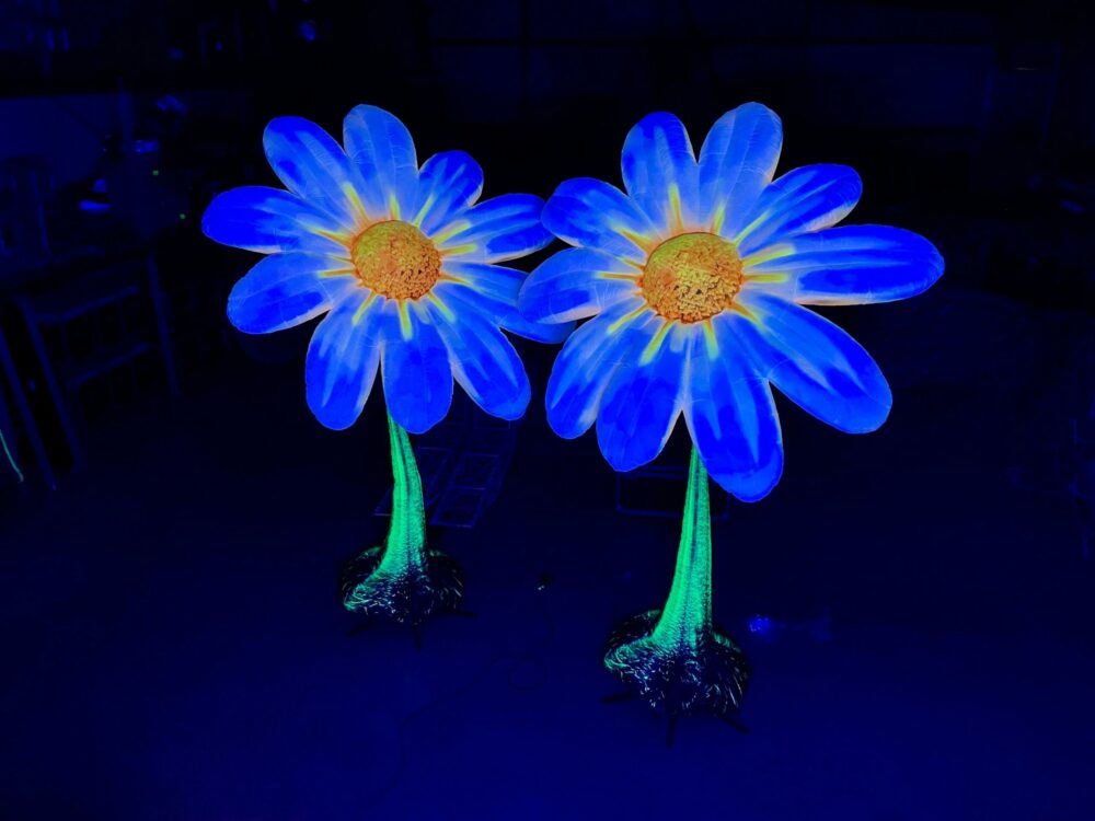 Airflower | Riesenblume | Deko Blume | aufblasbare Blume mieten in Wismar, Schwerin, Rostock
