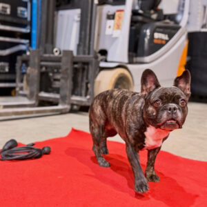 Leni Sicherheitsbeauftragte Pro-Dj-Lightning Veranstaltungstechnik